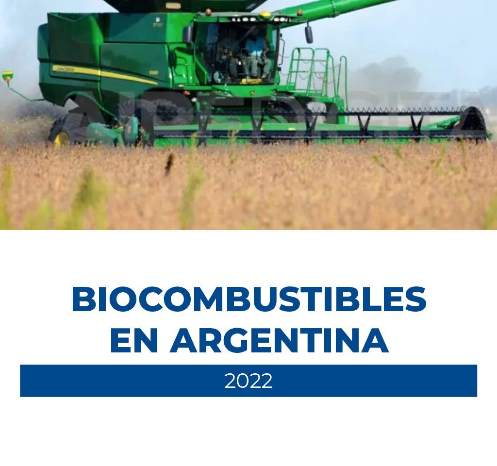 BIODIESEL ARG 2022 1 pdf