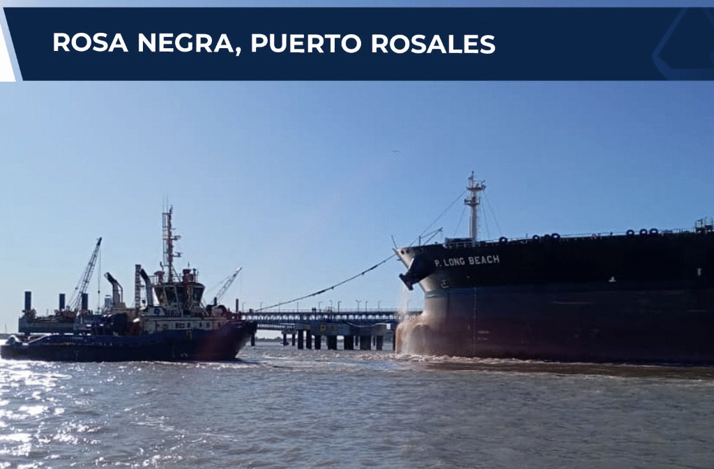 Camin Cargo Argentina presente en un nuevo hito para la infraestructura energética nacional 2 Rosa negra